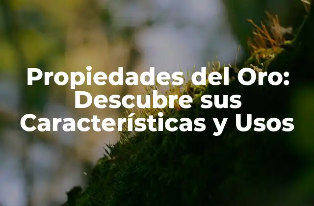 Propiedades Del Oro: Descubre Sus Características y Usos