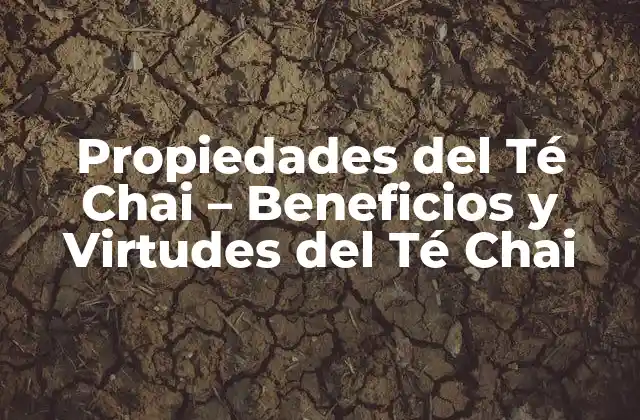 Propiedades Antioxidantes del Té Chai