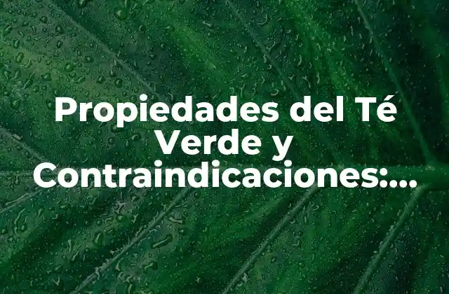 Propiedades Del Té Verde y Contraindicaciones: Beneficios y Riesgos Del Té Verde