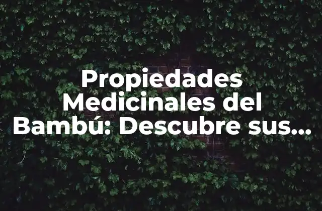 Propiedades Medicinales Del Bambú: Descubre Sus Beneficios 2 Propiedades Antibacterianas y Antifúngicas del Bambú
