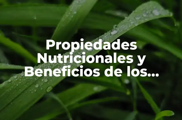 Propiedades Nutricionales y Beneficios de los Arándanos