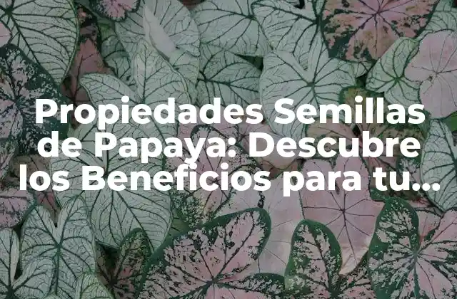 Propiedades Semillas de Papaya: Descubre los Beneficios para Tu Salud