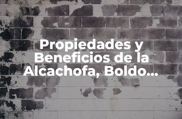 Propiedades y Beneficios de la Alcachofa, Boldo, Cardo Mariano y Diente de León