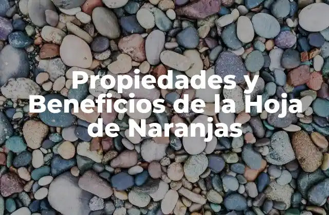 Propiedades Nutricionales de la Hoja de Naranjas