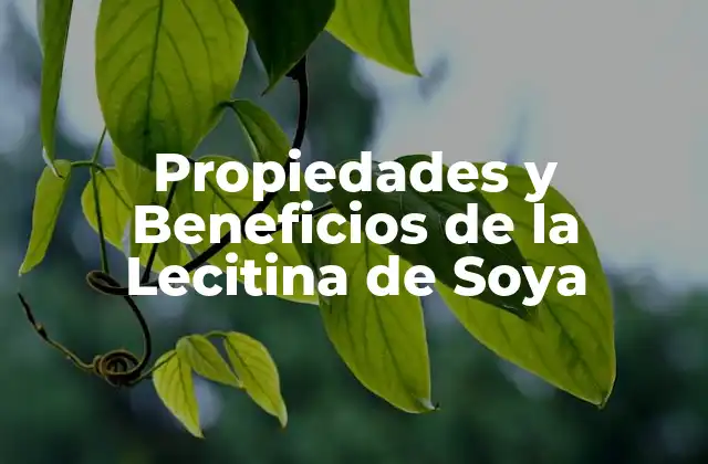 Propiedades y Beneficios de la Lecitina de Soya