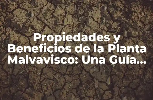Propiedades y Beneficios de la Planta Malvavisco: una Guía Completa