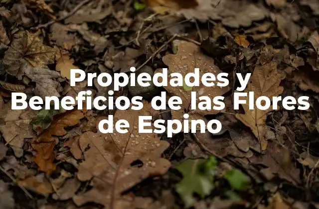 Propiedades y Beneficios de las Flores de Espino