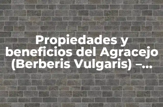 Propiedades y Beneficios Del Agracejo (berberis Vulgaris) – una Planta Medicinal Milenaria