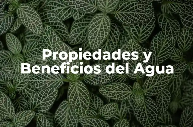 Propiedades y Beneficios Del Agua