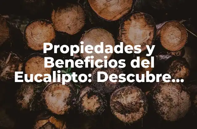 Propiedades y Beneficios Del Eucalipto: Descubre Sus Virtudes