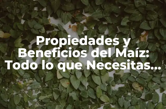 Propiedades y Beneficios Del Maíz: Todo Lo que Necesitas Saber