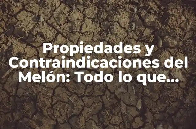 Propiedades y Contraindicaciones Del Melón: Todo Lo que Necesitas Saber