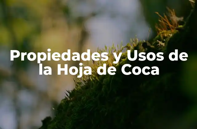 Historia de la Hoja de Coca