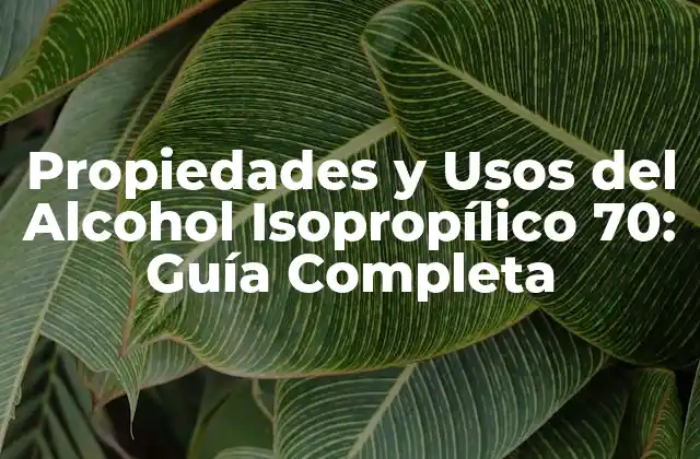 Propiedades y Usos Del Alcohol Isopropílico 70: Guía Completa