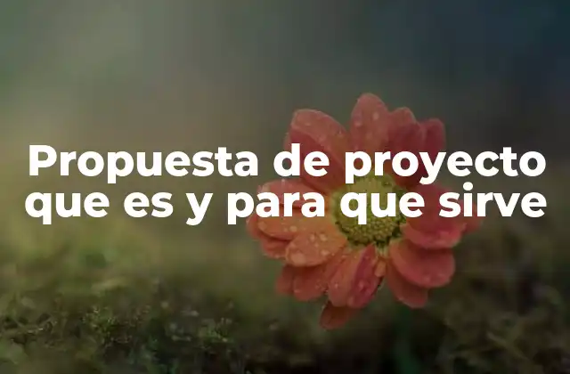 Propuesta de Proyecto que es y para que Sirve