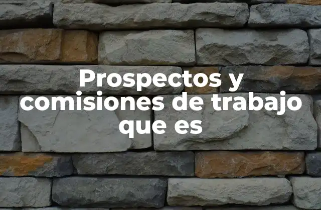 Prospectos y Comisiones de Trabajo que es