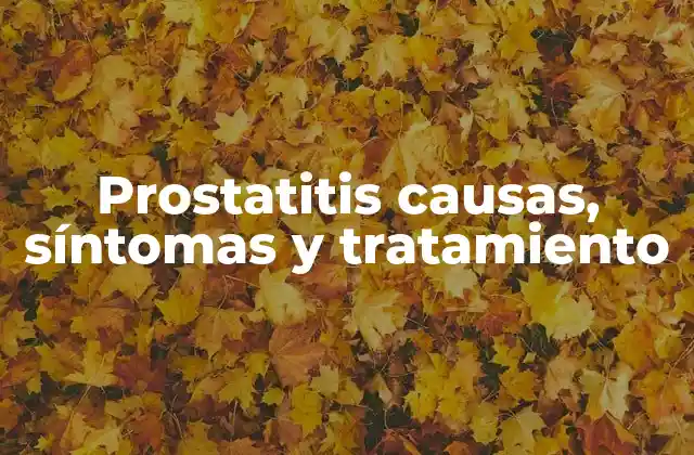 Prostatitis Causas, Síntomas y Tratamiento