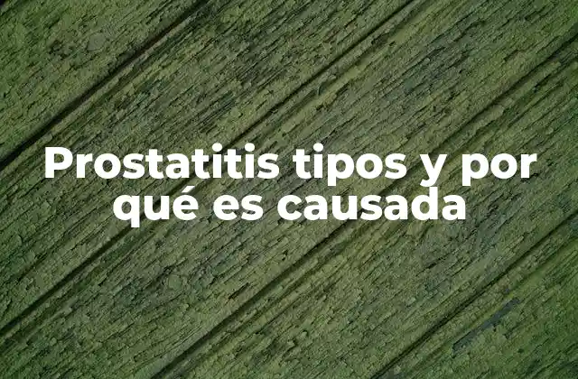 Prostatitis Tipos y por Qué es Causada