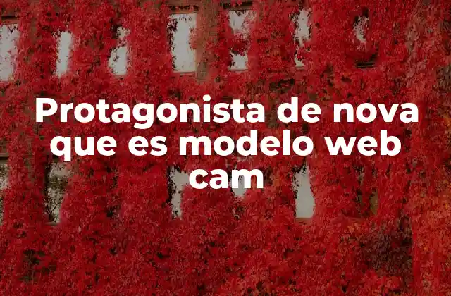 La evolución del modelo web cam en el entorno digital