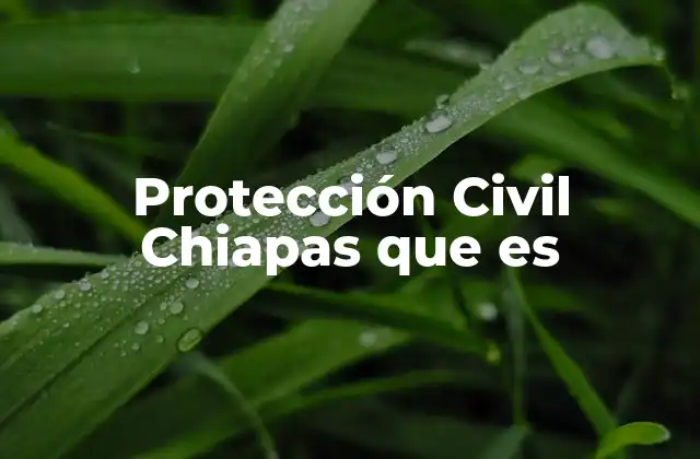 Protección Civil Chiapas que es