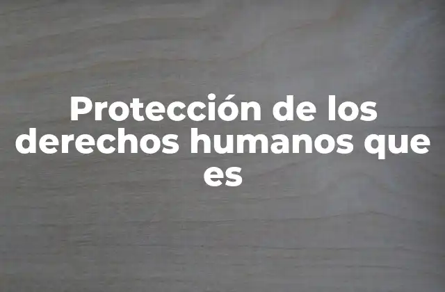 Protección de los Derechos Humanos que es