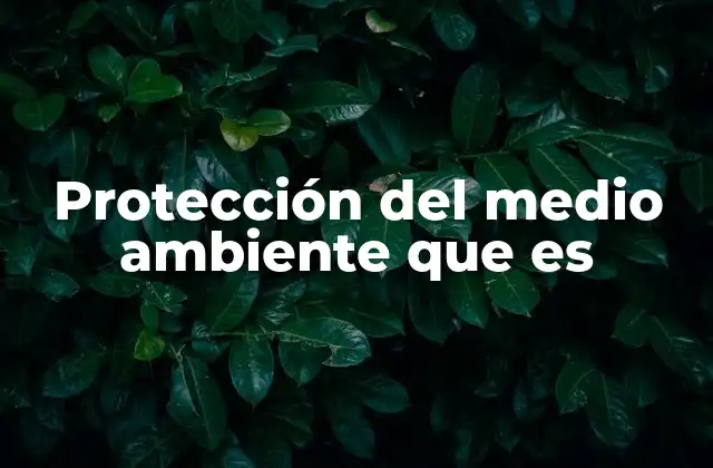 Protección Del Medio Ambiente que es