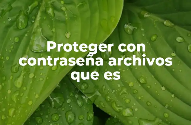 Proteger con Contraseña Archivos que es
