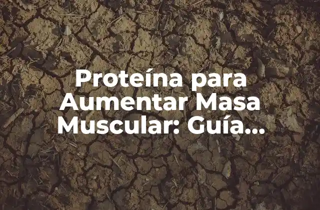 Proteína para Aumentar Masa Muscular: Guía Completa y Actualizada