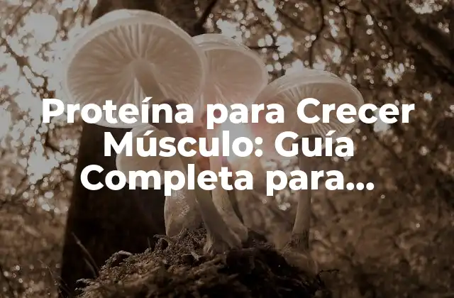 Proteína para Crecer Músculo: Guía Completa para Aumentar Tu Fuerza