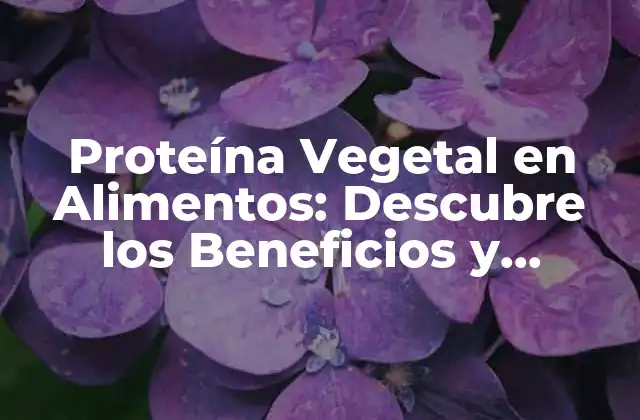 Proteína Vegetal en Alimentos: Descubre los Beneficios y Fuentes