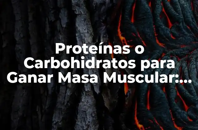 Proteínas o Carbohidratos para Ganar Masa Muscular: ¿cuál es la Elección Correcta?