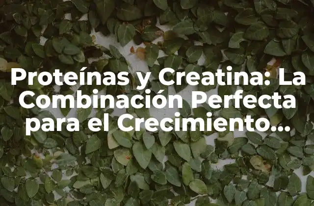 Proteínas y Creatina: la Combinación Perfecta para el Crecimiento Muscular