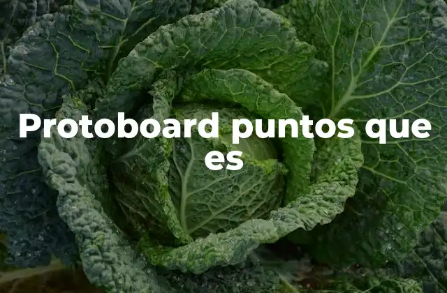 Protoboard Puntos que es