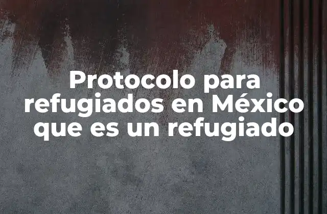 Protocolo para Refugiados en México que es un Refugiado 2 La protección de personas en movimiento: cómo México responde a las crisis migratorias
