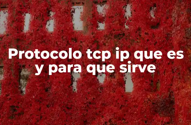 Protocolo Tcp Ip que es y para que Sirve