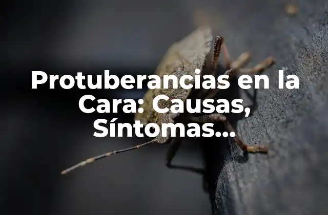 Causas de las Protuberancias en la Cara