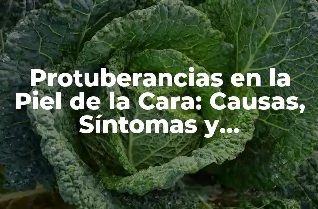 Protuberancias en la Piel de la Cara: Causas, Síntomas y Tratamientos