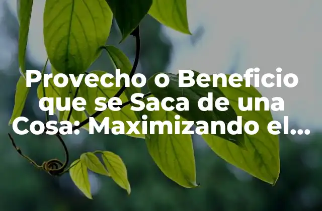 Provecho o Beneficio que Se Saca de una Cosa: Maximizando el Valor