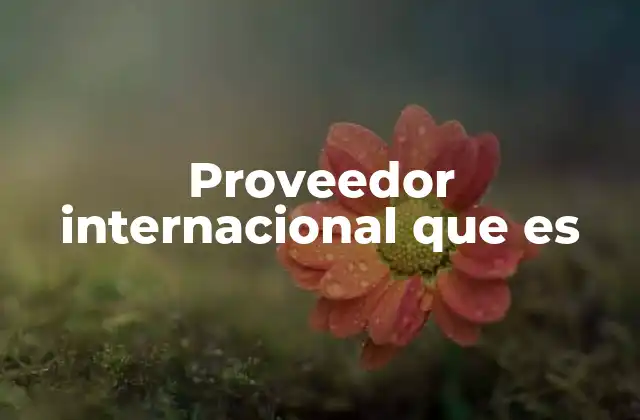Proveedor Internacional que es