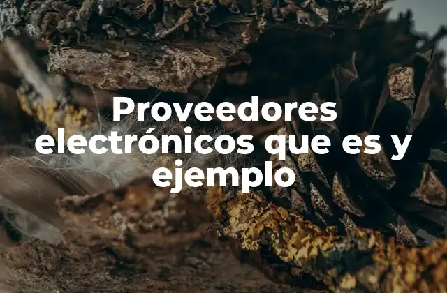 El rol de los proveedores electrónicos en la industria