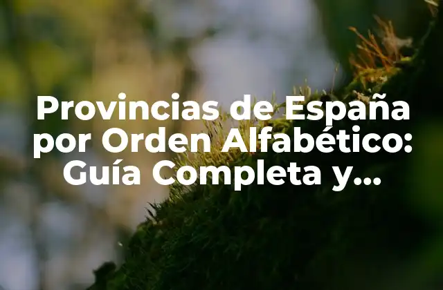Provincias de España por Orden Alfabético: Guía Completa y Actualizada