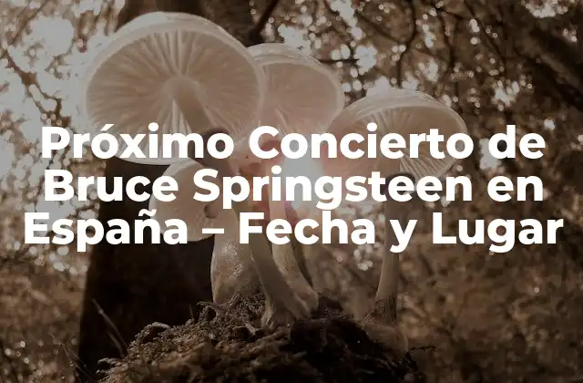 Próximo Concierto de Bruce Springsteen en España – Fecha y Lugar