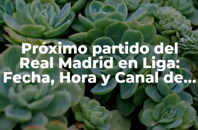 Próximo Partido Del Real Madrid en Liga: Fecha, Hora y Canal de Transmisión