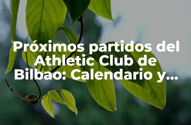 Próximos Partidos Del Athletic Club de Bilbao: Calendario y Horarios