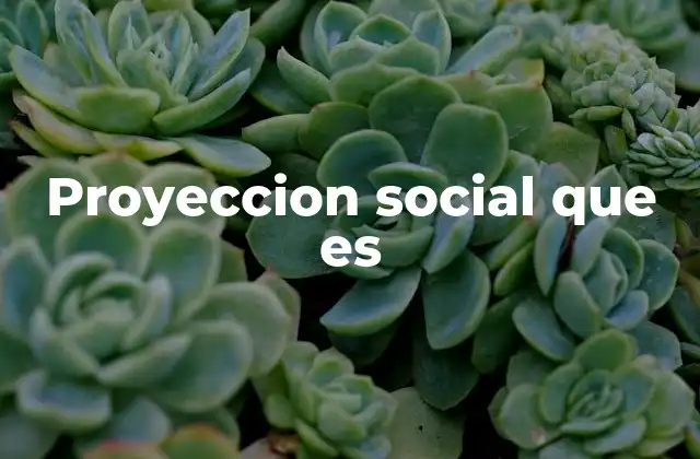 Proyeccion Social que es