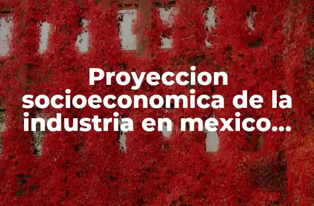 Proyeccion Socioeconomica de la Industria en Mexico que es