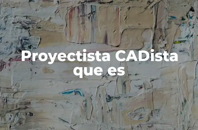Proyectista Cadista que es