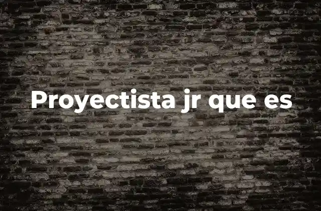 Proyectista Jr que es
