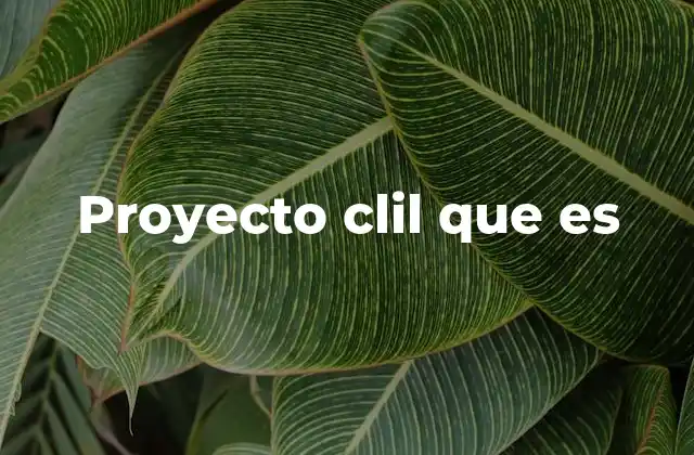 Proyecto Clil que es
