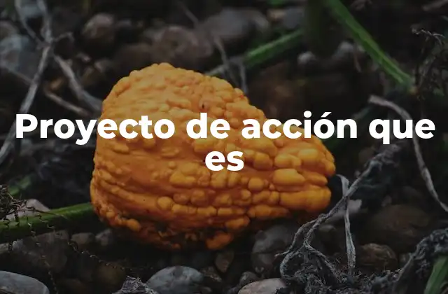 Proyecto de Acción que es